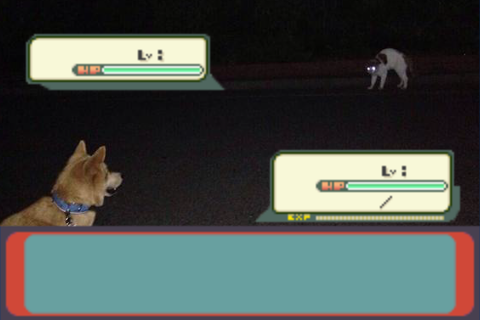 画像 犬の散歩してたらポケモンバトルになったと話題に Togetter