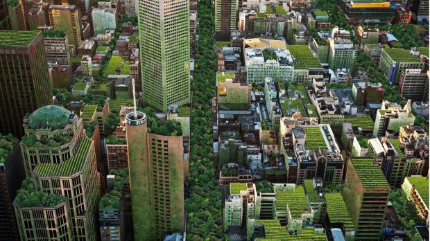 Extreme gardening on the 92nd floor of the Eureka Tower  theage.com.au/victoria/extre… via <a href="/theage/">The Age</a>