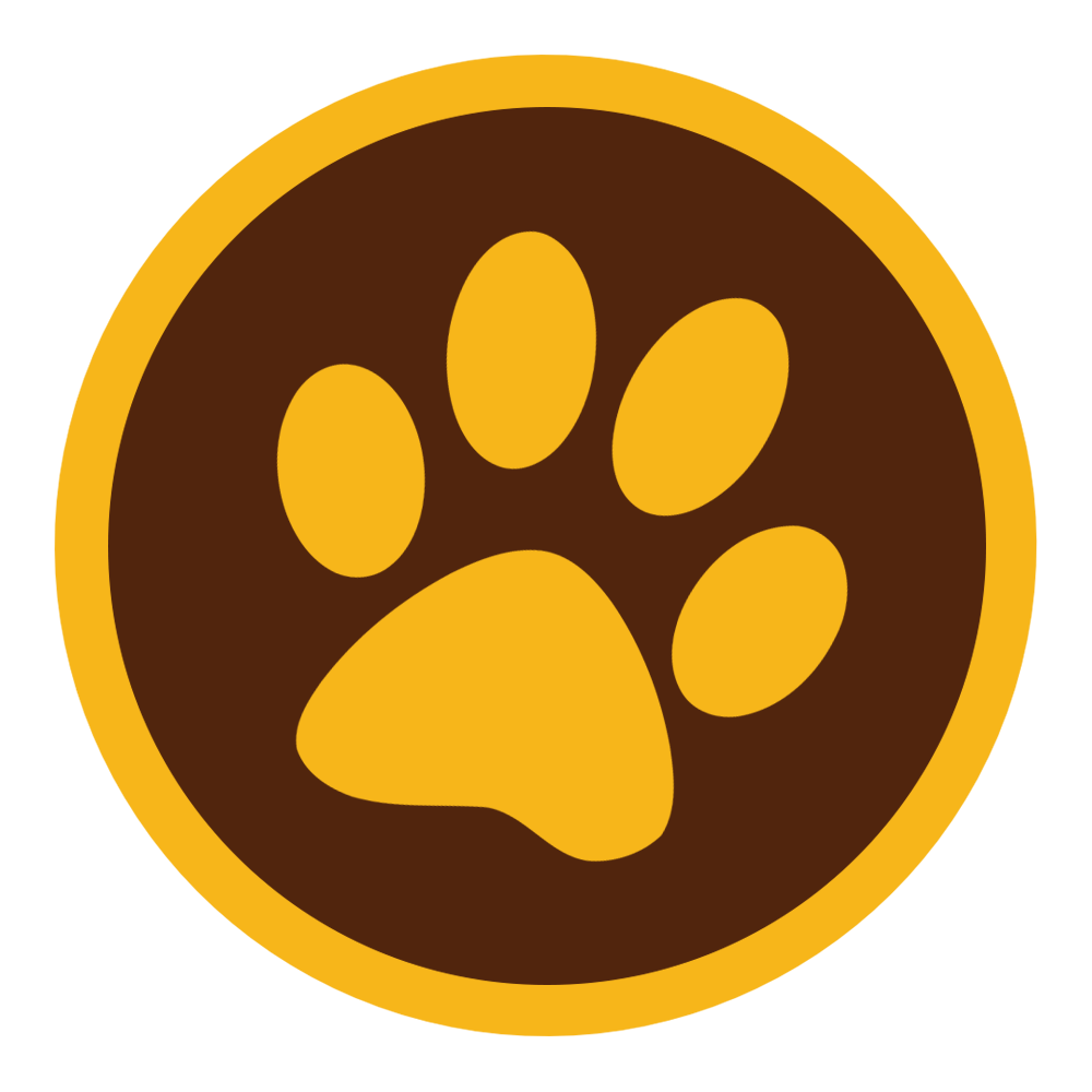 CryptoPet tweet media