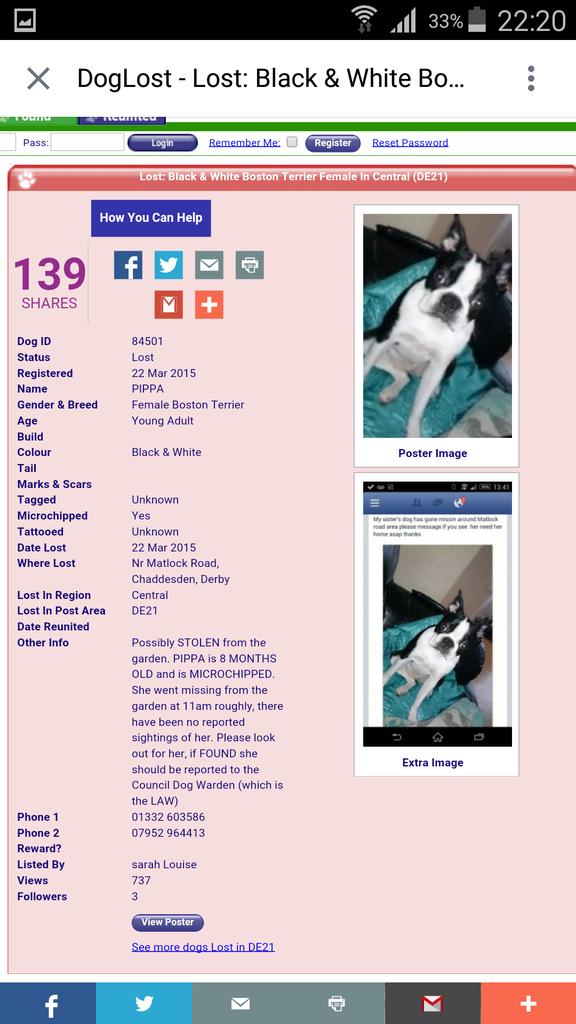 Please RT owners are frantic #missingpippa <a href="/judysale23/">judy sale</a> <a href="/VictoriaS/">Victoria Stilwell</a> <a href="/FindGinny/">#FindGinny</a> <a href="/yourdog/">Your Dog Magazine</a> <a href="/RSPCA_official/">RSPCA (England & Wales)</a> <a href="/DogsTrust/">Dogs Trust 💛🐶</a>