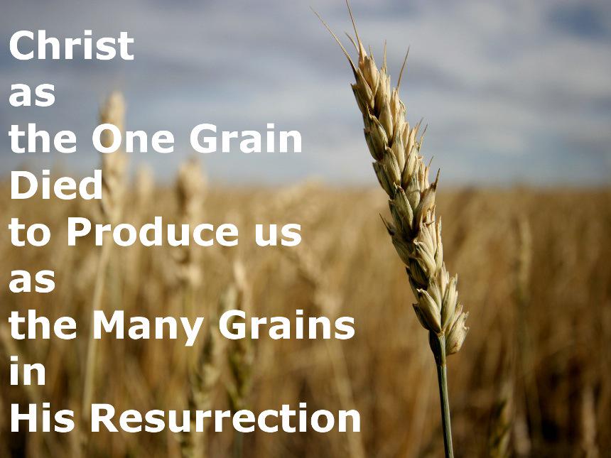 sophiahopkins30's tweet photo. #DigitalSaints @TJBurdick John 12: 20-33 http://t.co/aaUfRPFxQX