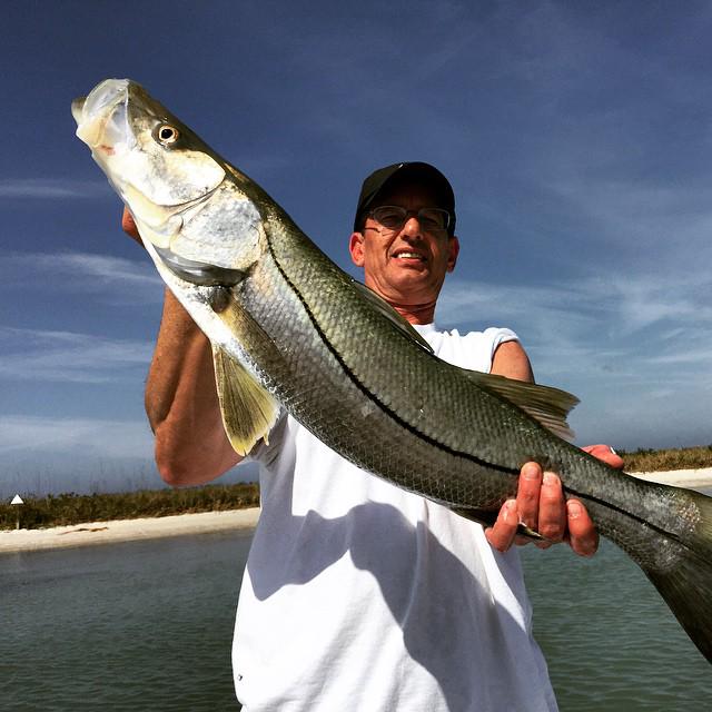 SandiMcKenna's tweet image. A3: Fresh Fish! #YesterdaysCatch #SundaySupper