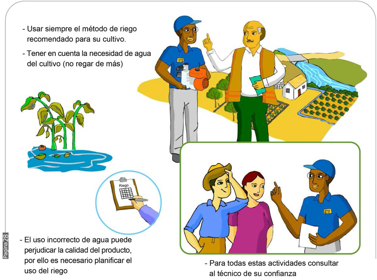 bpagricolas's tweet photo. #diamundialdelagua

El agua, clave de una #agriculturaconsciente http://t.co/6fM5OYw6aY