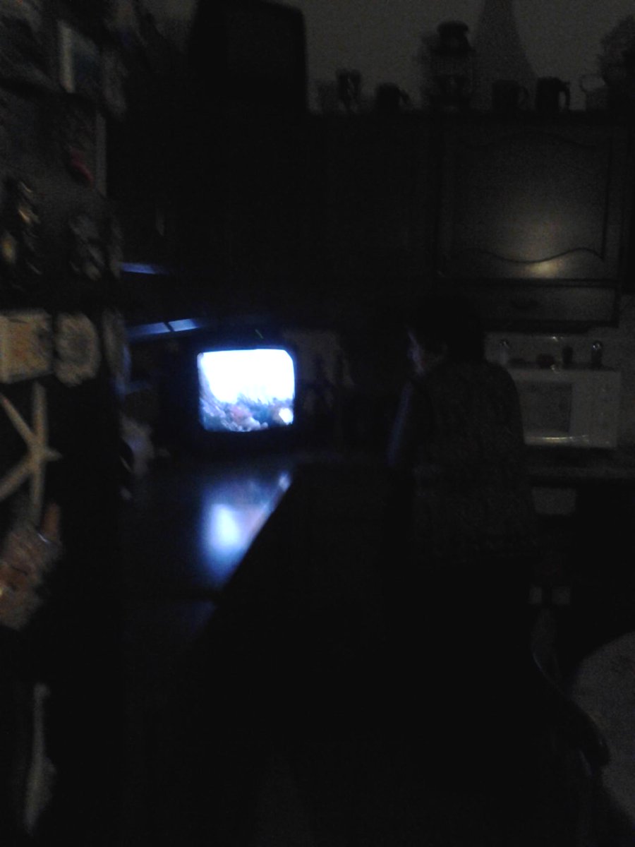 teleprop's tweet image. Mia nonna guarda #gazebo #PapaPower