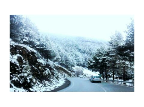 monica_AP92's tweet photo. Fin de semana increible en granada!! http://t.co/yT1V7J6JLw