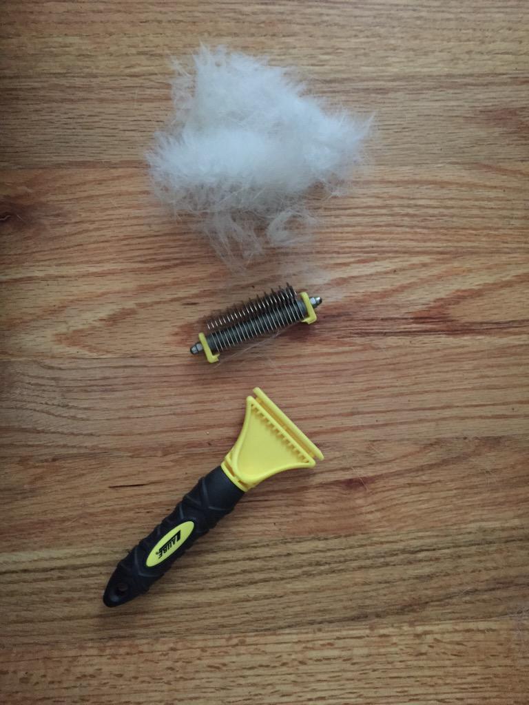 Dog hair game strong, literally. We broke the brush.