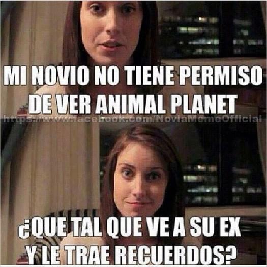 Actualidad on Twitter: Actualidad on Twitter:
