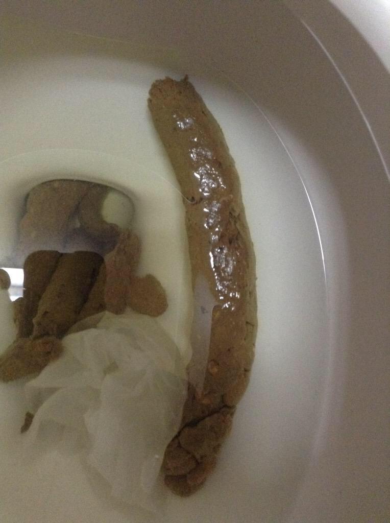 shitpics4u's tweet photo. The floater. http://t.co/FGeNU04YGw