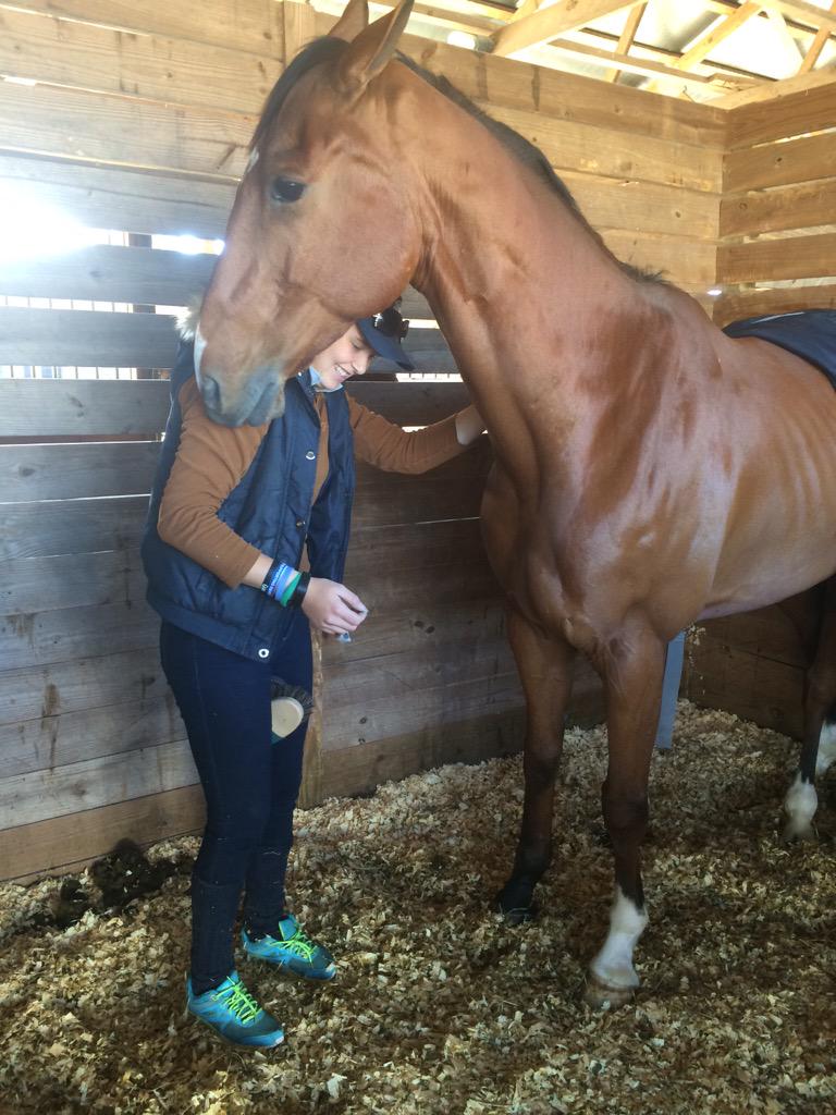 "Choose a job you love and you will never have to work a day in your life"  #verytrue <a href="/BritishGrooms/">British Grooms Assoc</a>