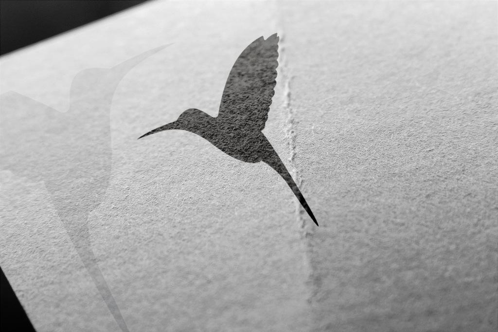 Off jual beli, fokus yang baru.
Logo Design