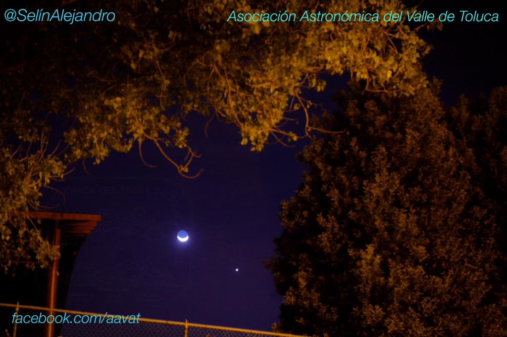 Selín Alejandro tweet media