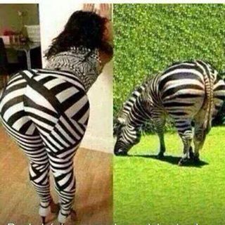 SuegraZampada's tweet photo. Encuentra las diferencias. http://t.co/Ye7wm4B8ii