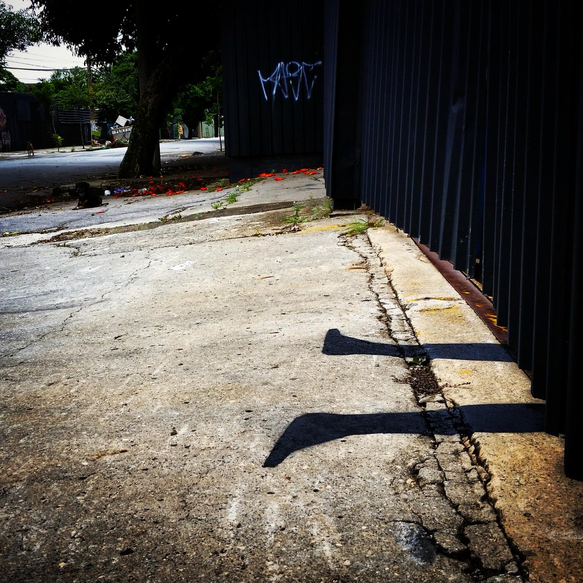 dafnesampaio's tweet photo. mais dois #pesodomundo, a minha grande diversão do momento na rua http://t.co/1bNe365Drh http://t.co/KpkoT81hrF