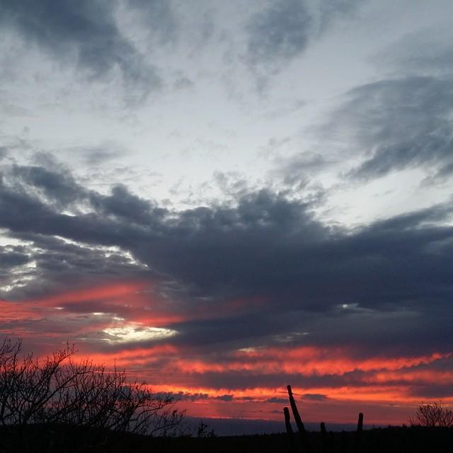 AACabobyBea's tweet photo. Sunset in my home ♡
#LosCabos #RedSky #Filtrooff by justmarianela http://t.co/zkQbsEXcXz
