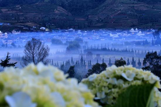 Jogja24Jam's tweet image. ini di dieng! Saat kabut pagi selimuti negeri diatas awan -@FestivalDieng