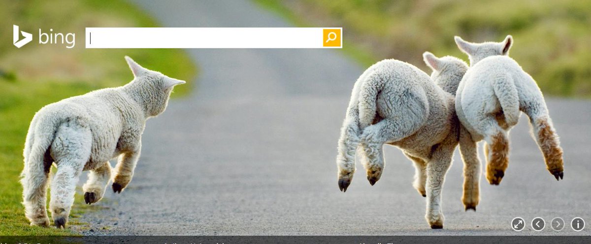 3mausimhaus's tweet image. @Tmrw_can_wait @iSchnupper Womöglich! Voilà: #Sheepcontent