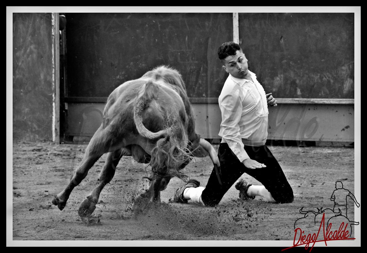 PIRO CHICO EN LA II <a href="/FeriaToroCoria/">Feria del Toro CORIA</a> EXHIBICION #ARTEEXTREMEÑO