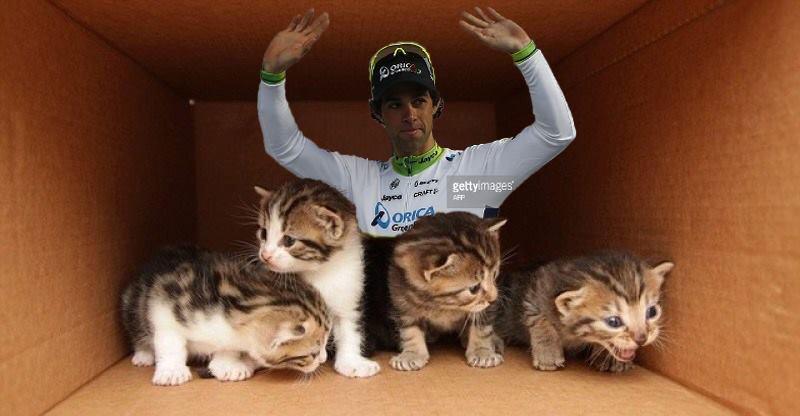 Matthews boxed in at Milan San Remo