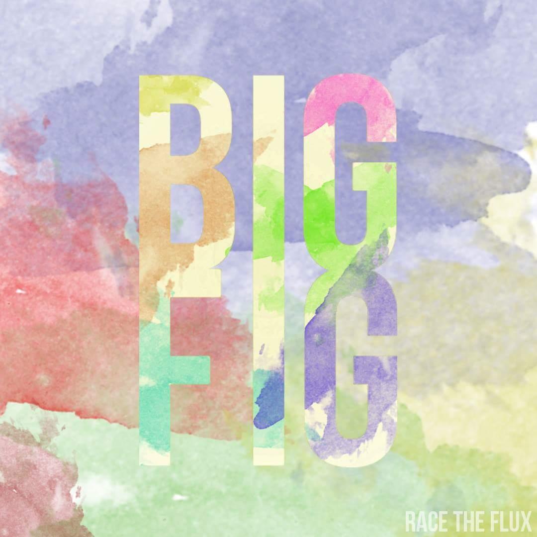 Our 2nd single "Big Fig" from our upcoming E.P #Olympians is available to stream NOW!
soundcloud.com/racetheflux/bi…
#BigFig