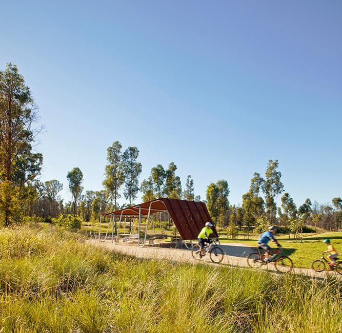 wylde mountain bike trail