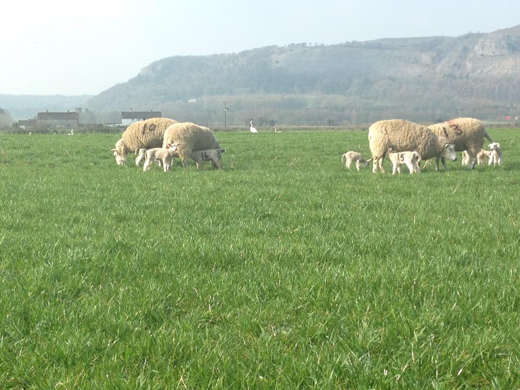 #bestjobintheworld when the weather is like this !