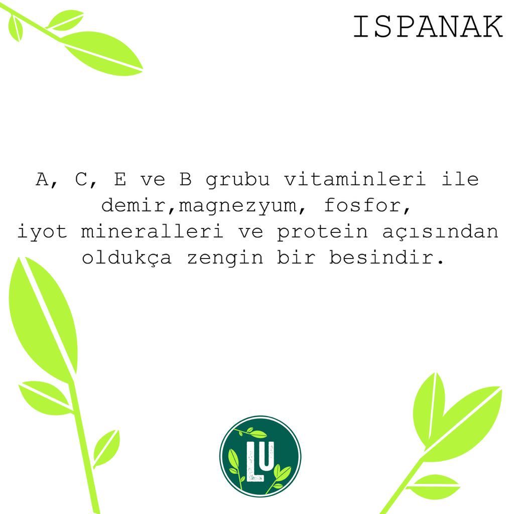 Ispanağın faydalarını biliyor muydunuz? 🍃💚 #LevelUp #levelupdrinks