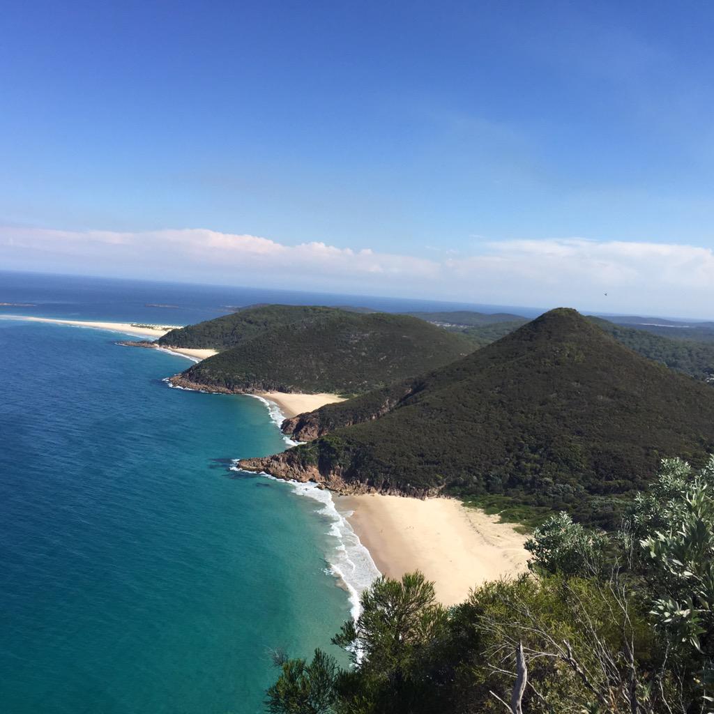 Jennifer Deary tweet media