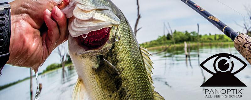 Watch fish attack your lure like video sonar! Real-time with 2D LiveVü and 3D RealVü. bit.ly/1ECB9DA