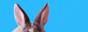 HarvardBiz's tweet photo. Why Marketing Needs More Introverts http://t.co/TkqWpeHaWf http://t.co/C0tqPdBgW9