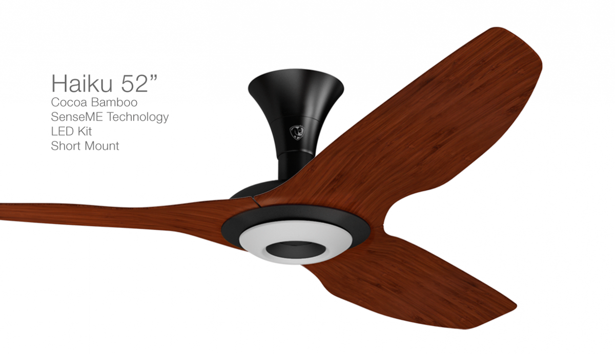 Ella Dunbar (EllaDunbar) Twitter