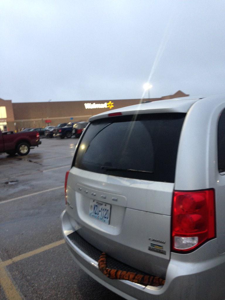 SiteLeaderBryce's tweet photo. Getting my cardio in by parking really far away!!! Not tryna damage the new whip 😉 #tigertailonfleek #leslie http://t.co/pa4jZlhRNg