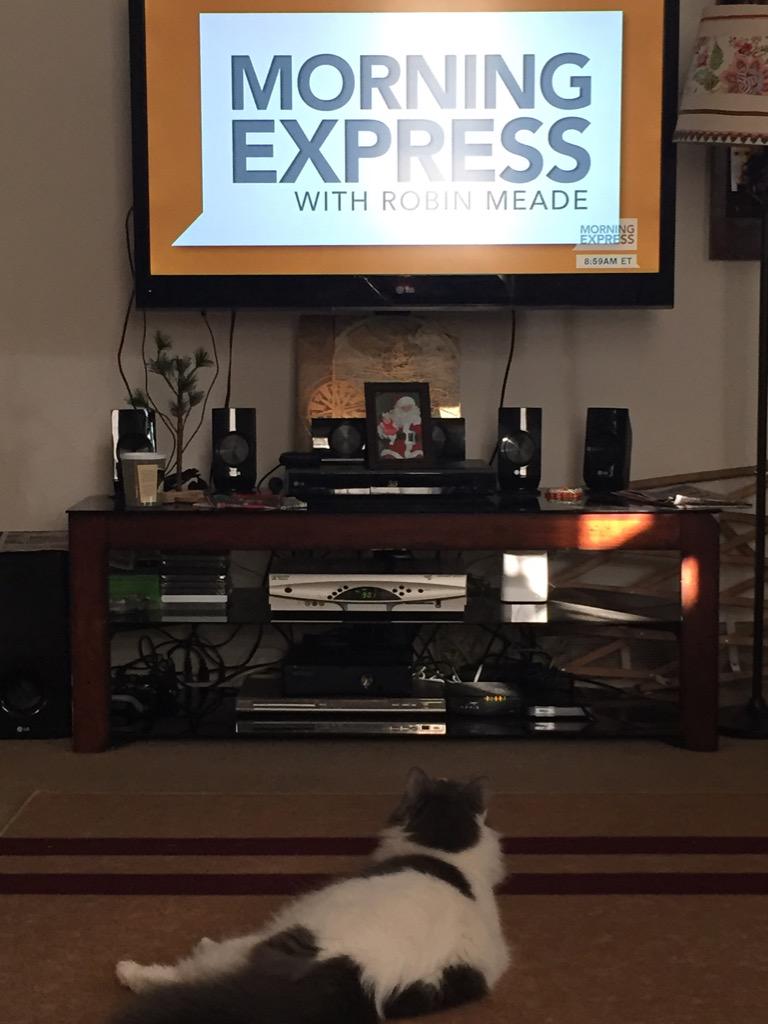 DO_dr_La's tweet photo. @DO_dr_La: Swiffer loves starting our day with @RobinMeade on #HLN #MorningExpress #thiscatlovestelevision http://t.co/wRlf9Zgbjl