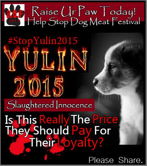rebeldiana's tweet photo. It Must be... Monday Morning! #AdoptDontShop #DogLovers  #StopAnimalCruelty #CrueltyIsNotCool #StopYulin2015 🐾🐕🐶👋😘✌ http://t.co/sNKwXOCYP7