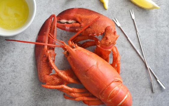 coolinaryR's tweet image. How to Cook Lobster coolinaryrecipes.com/how-to-cook-lo…
#HowToCook #Lobsterfest #Cook #Chef #CookingLobster #homemade