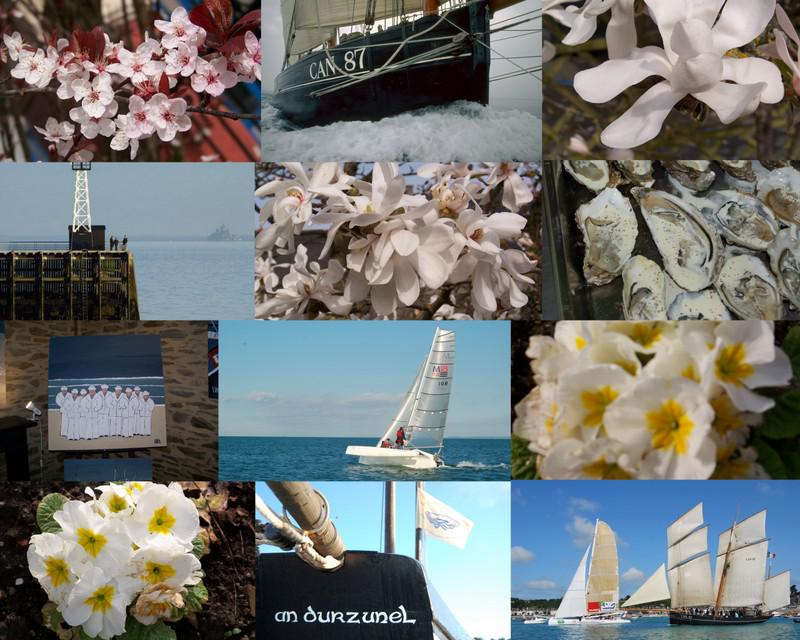 Cancale fête le printemps en blanc aujourd'hui et dès demain dans une autre couleur... revenez nous voir !!!!!