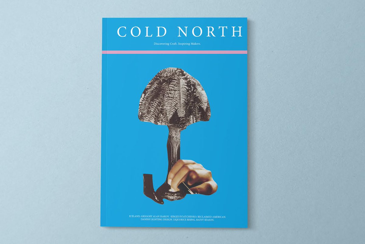 blakesuarez's tweet photo. Cold North's 2nd issue is coming out soon and @livvyrae and I got to contribute. Check it out: @coldnorthmag http://t.co/jKFJ9RlRys