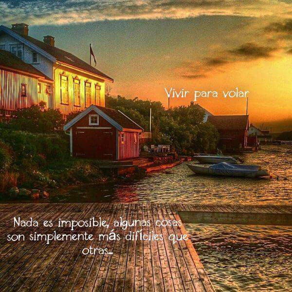 José Alamo Barreto tweet media