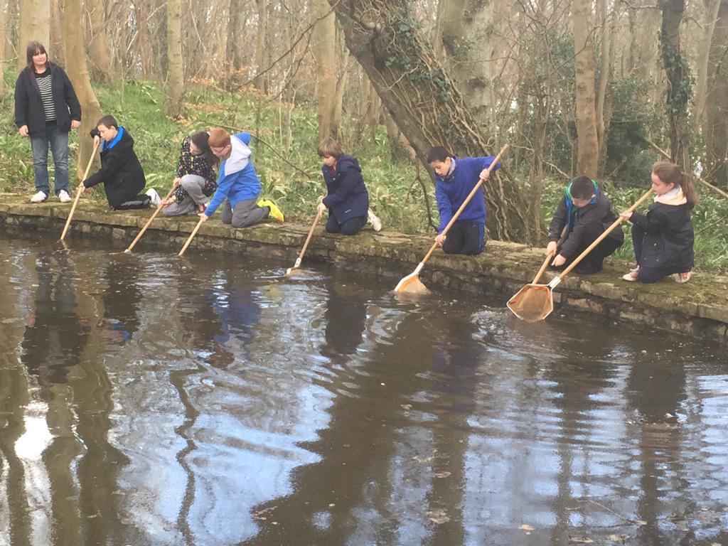 leanneheath87's tweet photo. “@RudheathPrimary: And more pond dipping #Conway http://t.co/KkiRvHeIa5” is that Mylo at the end there @MontagueStreet ?