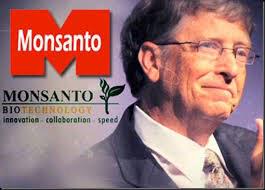 8extremes's tweet image. Bill Gates pushes patented #GMO seeds in Africa
Threatens Biodiversity &amp;amp; Sustainable Farming Practices
#FreeTheSeeds