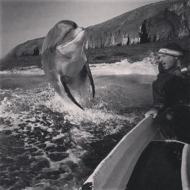 FindTransfers's tweet image. Hello there!