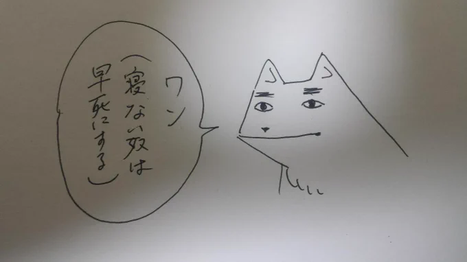 犬もこう言っているし…寝よう! 