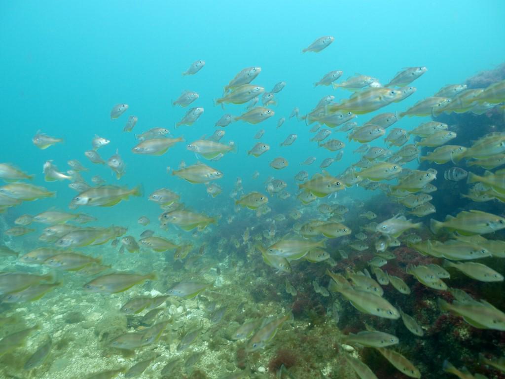 sandcliffcromer-sandcliffcromer-twitter