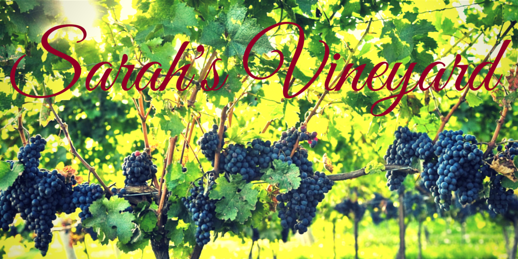 WineriesofSCV's tweet photo. Come to Sarah's Vineyard and try their liquid sunshine in a glass during Passport Weekend. http://t.co/deGLVRBNVT http://t.co/wUEym3uIlc