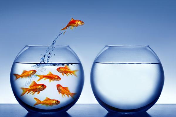 CatchYourTalent's tweet photo. Zoektocht naar #baan steeds langer! Hoe kan jij jezelf #onderscheiden op de arbeidsmarkt? http://t.co/z63E38Y93Q http://t.co/DwgeBKOOQm