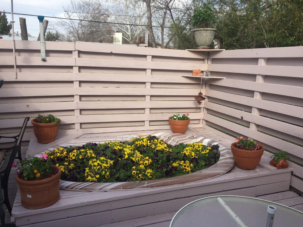 Spectra_PS's tweet image. After pictures of Spectra's latest backyard remodel! Looks fantastic!