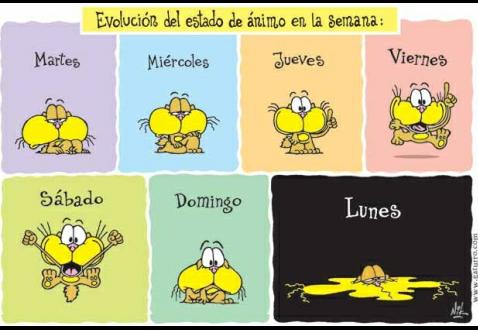 Vianey Mendoza tweet media