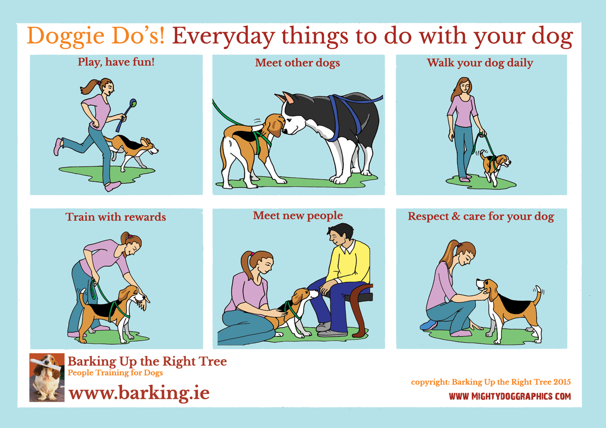 VictoriaS's tweet photo. How many of these things do you do with your dog each day? (via Mighty Dog Graphics) http://t.co/i9B54iFpMp