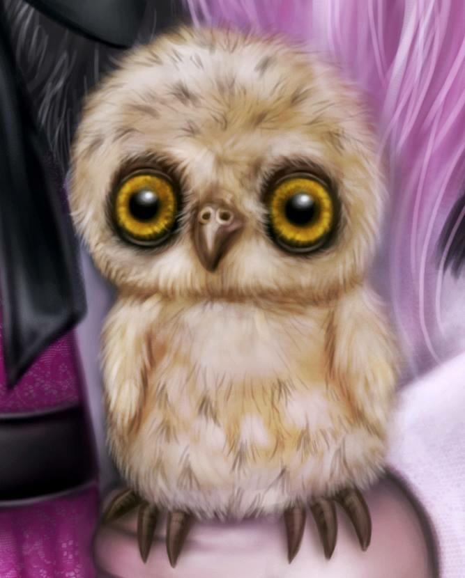 MakingMyths's tweet image. Close up of the #littleowl &amp;lt;3