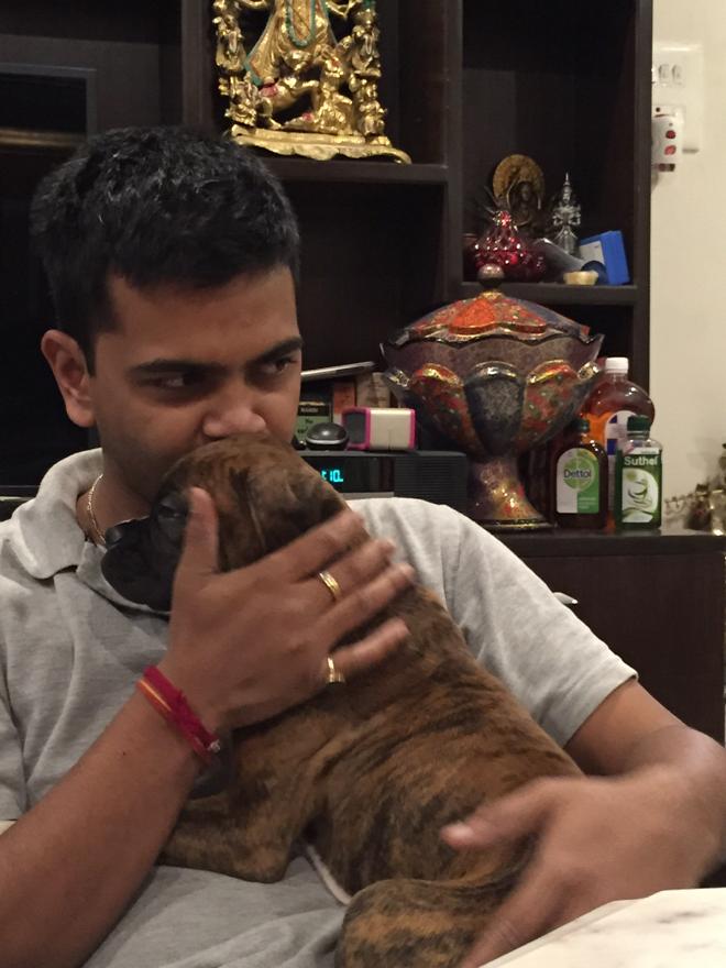 Welcome to your new home <a href="/clay/">Clay</a> the biggest boxer ever 😌