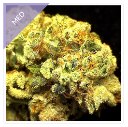 CannabaseMarket's tweet photo. Just listed! 10 lbs #topshelf #mmj at $1500/lb!  connect now via http://t.co/rgG3OSdcZA #wholesale #b2b #cannabis http://t.co/LGq3YzAD42